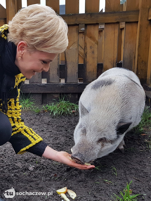 Zwierzęta z Frajdalandii gwiazdami Pytania na śniadanie