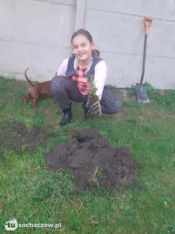 Sochaczewscy harcerze zaangażowani w akcje #sadziMy