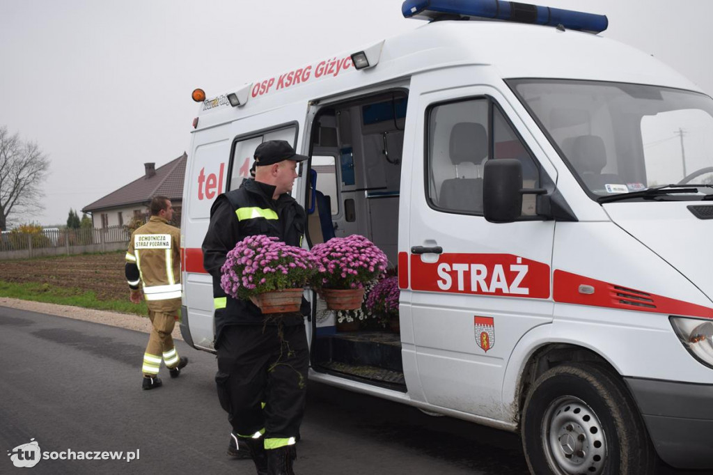 Akcja chryzantema. OSP Giżyce pomogło pani Ani z Rybna. 150 kwiatów zdobi okolice