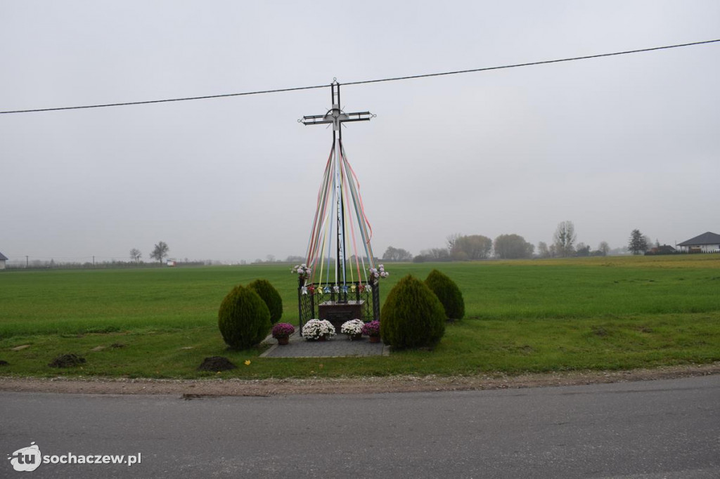 Akcja chryzantema. OSP Giżyce pomogło pani Ani z Rybna. 150 kwiatów zdobi okolice