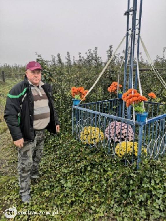 Akcja chryzantema. OSP Giżyce pomogło pani Ani z Rybna. 150 kwiatów zdobi okolice