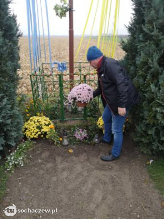 Akcja chryzantema. OSP Giżyce pomogło pani Ani z Rybna. 150 kwiatów zdobi okolice