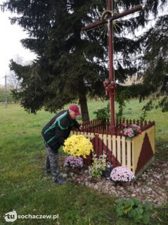 Akcja chryzantema. OSP Giżyce pomogło pani Ani z Rybna. 150 kwiatów zdobi okolice