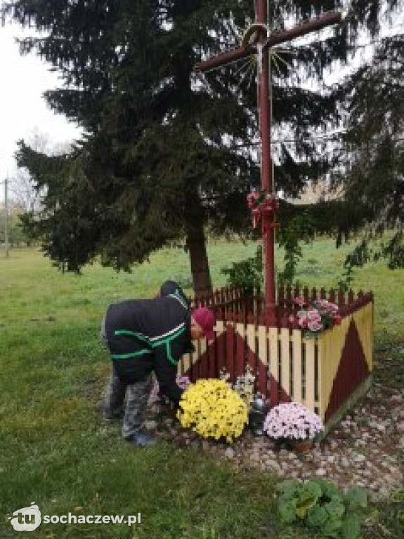 Akcja chryzantema. OSP Giżyce pomogło pani Ani z Rybna. 150 kwiatów zdobi okolice