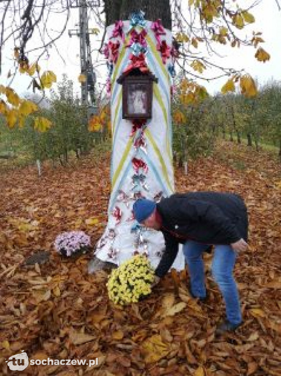 Akcja chryzantema. OSP Giżyce pomogło pani Ani z Rybna. 150 kwiatów zdobi okolice