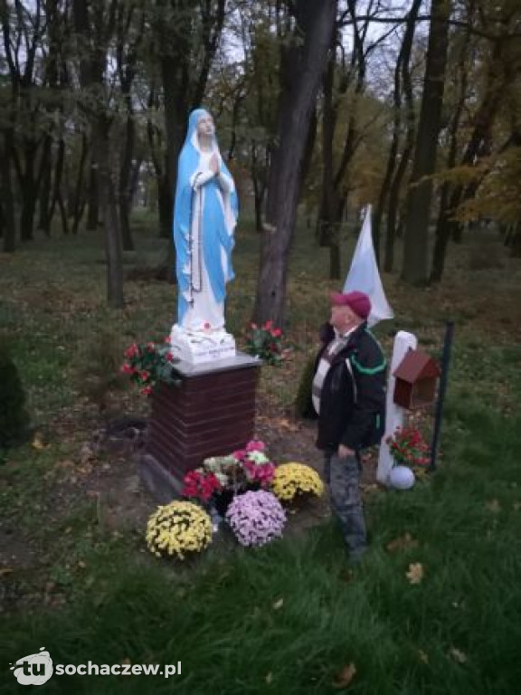 Akcja chryzantema. OSP Giżyce pomogło pani Ani z Rybna. 150 kwiatów zdobi okolice
