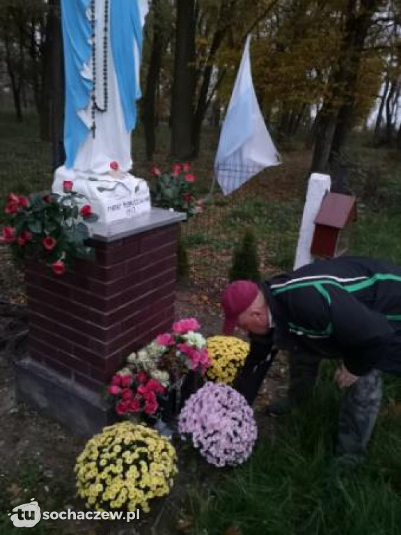 Akcja chryzantema. OSP Giżyce pomogło pani Ani z Rybna. 150 kwiatów zdobi okolice