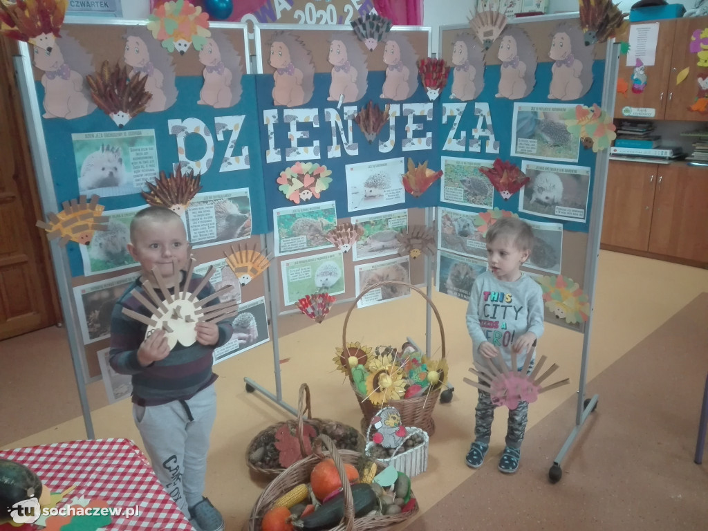 Dzień Jeża. Przedszkolaki z Oddziału Przedszkolnego w Giżycach włączyły się w obchody