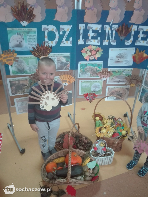 Dzień Jeża. Przedszkolaki z Oddziału Przedszkolnego w Giżycach włączyły się w obchody