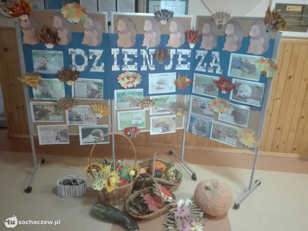Dzień Jeża. Przedszkolaki z Oddziału Przedszkolnego w Giżycach włączyły się w obchody