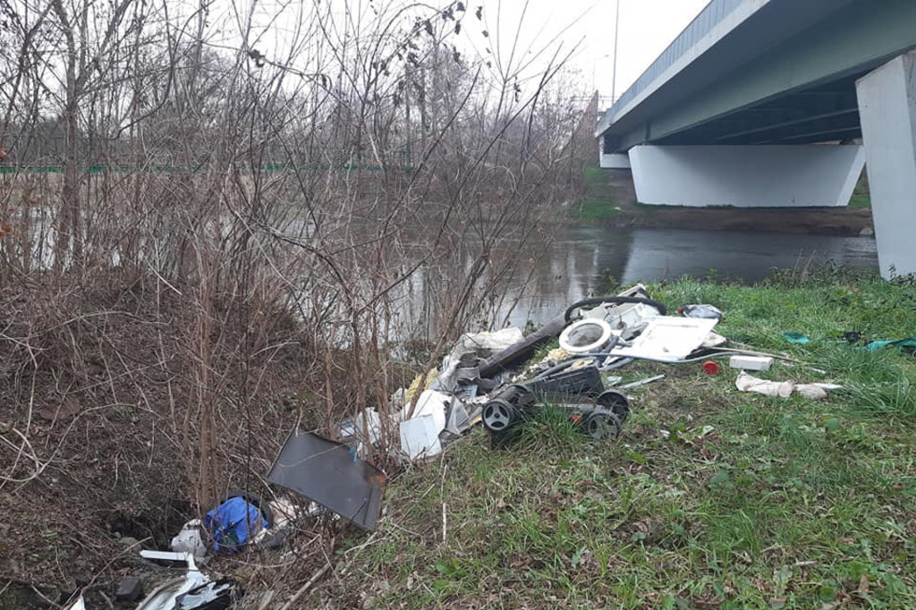 Śmieciowy dramat, przy samej obwodnicy w Boryszewie nad Bzurą
