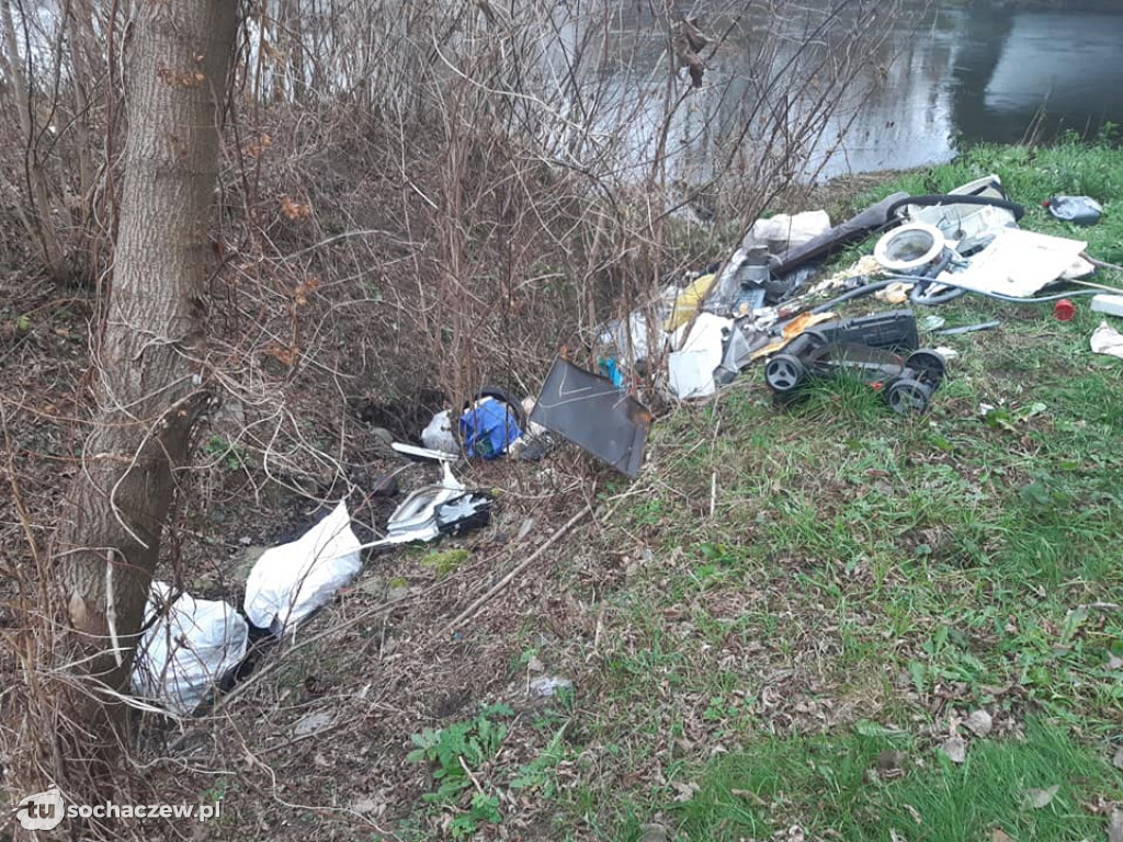 Śmieciowy dramat, przy samej obwodnicy w Boryszewie nad Bzurą