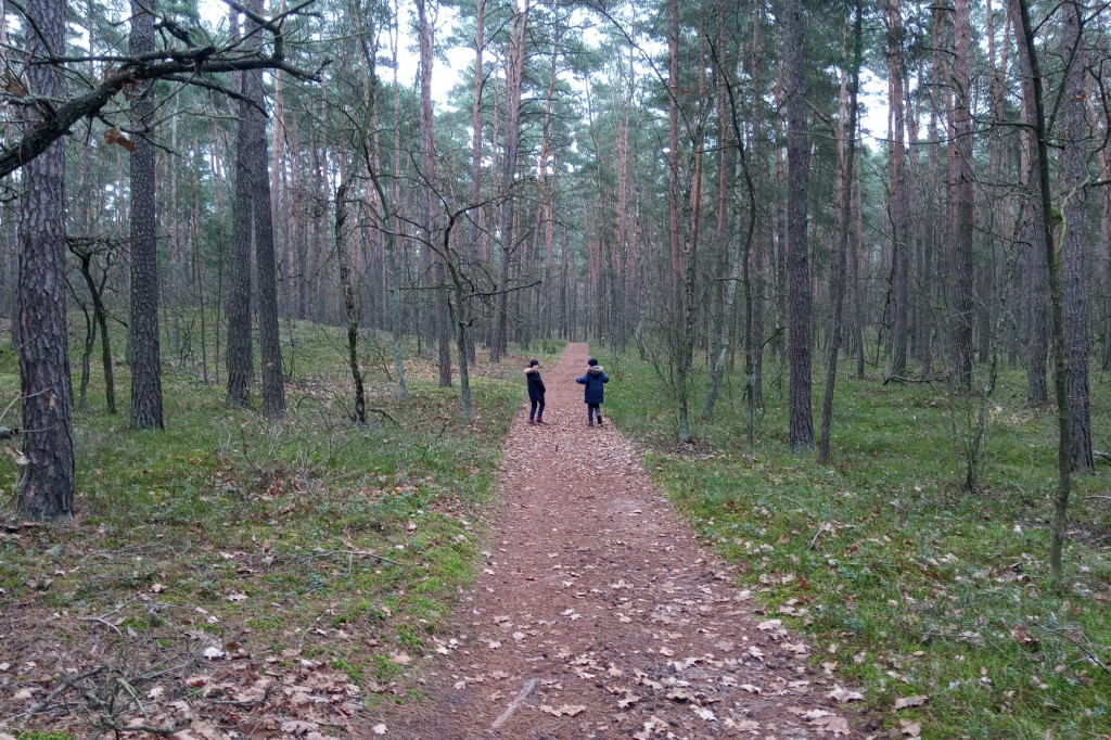 Kampinos