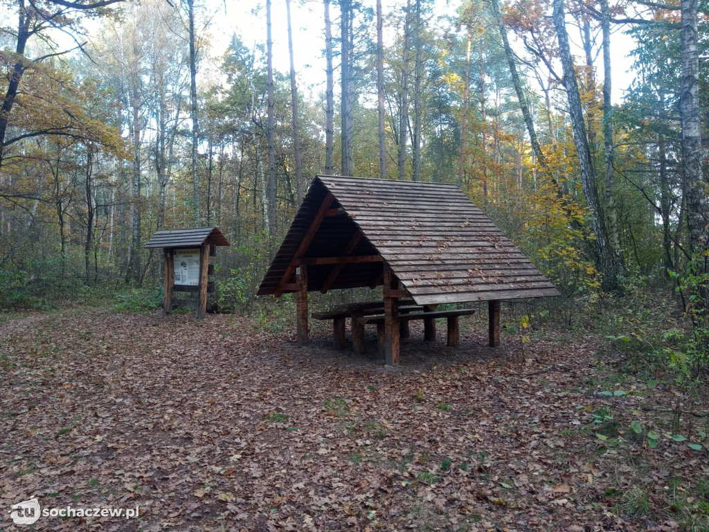 Kampinos