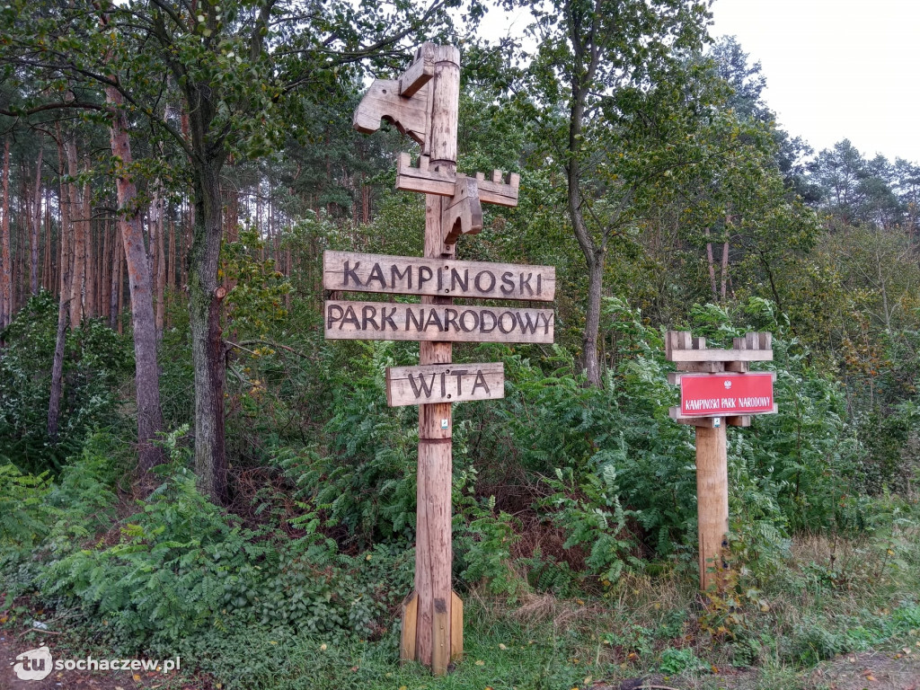Kampinos