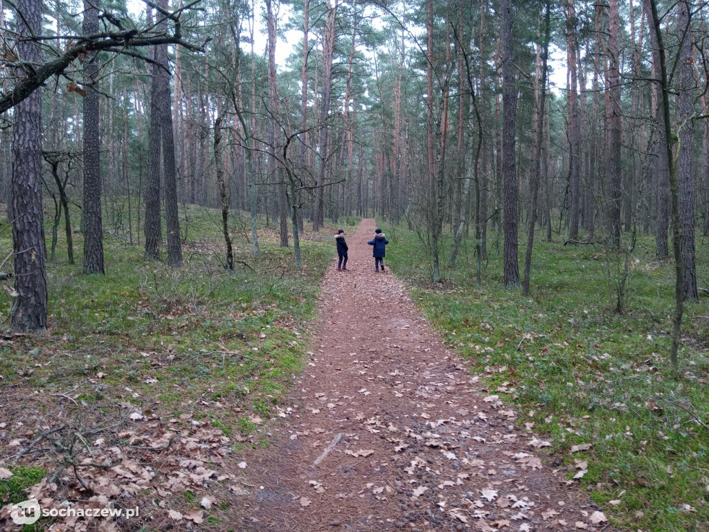 Kampinos