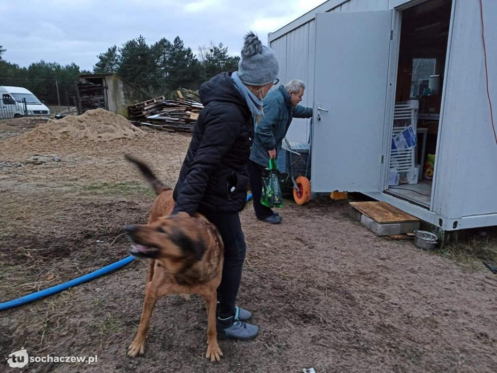 Fundacja Kundelek apeluje o pomoc dla pana Janka