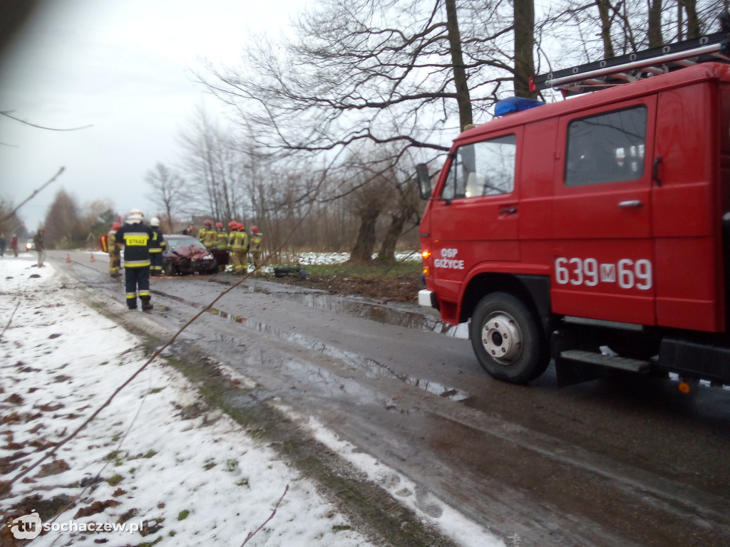 Henryków: osobówka uderzyła w drzewo
