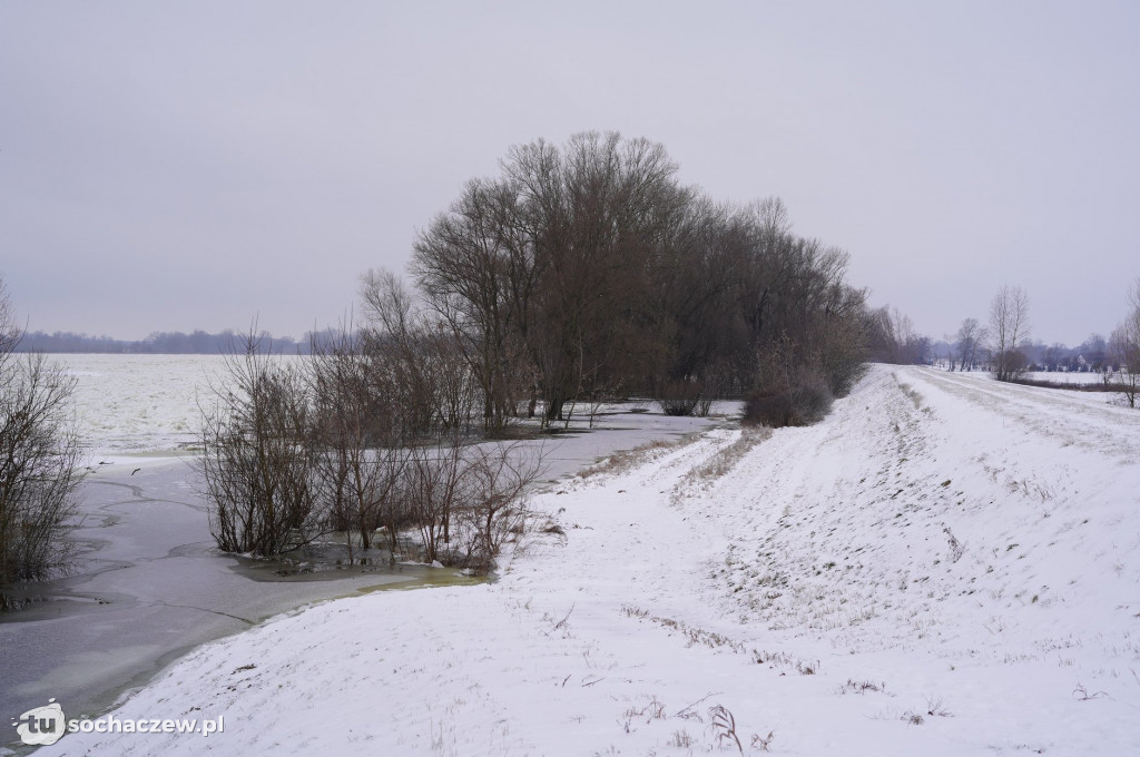 Wyszogród: Wisła 13.02.2021