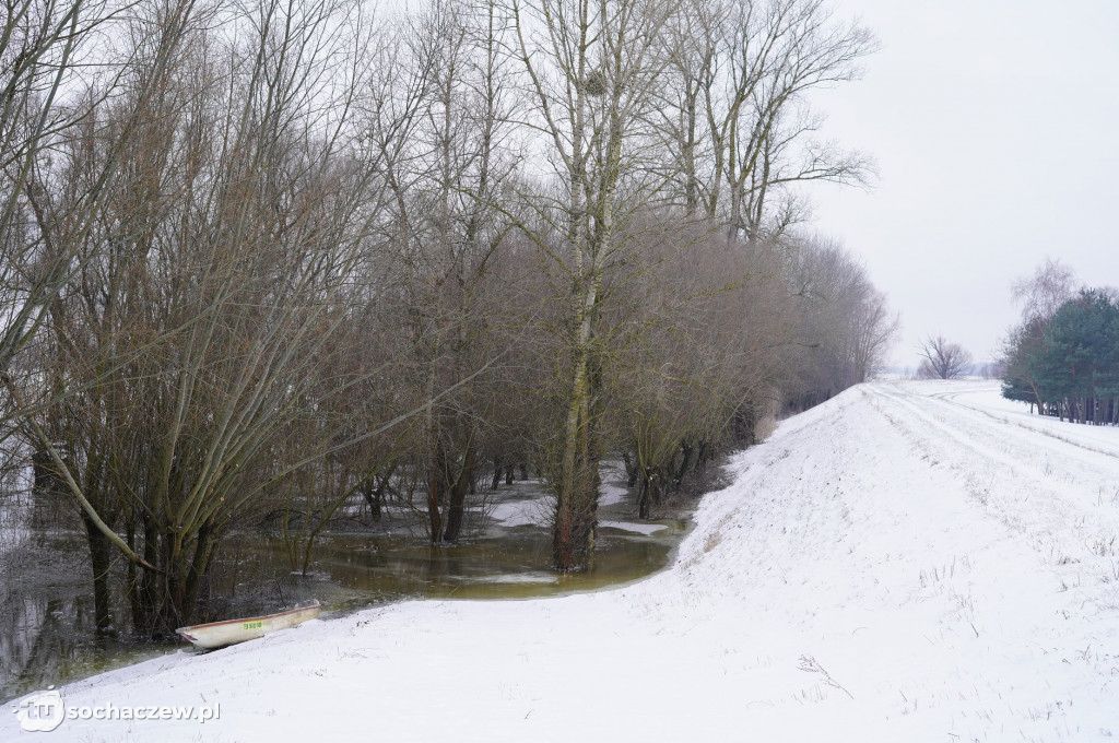Wyszogród: Wisła 13.02.2021