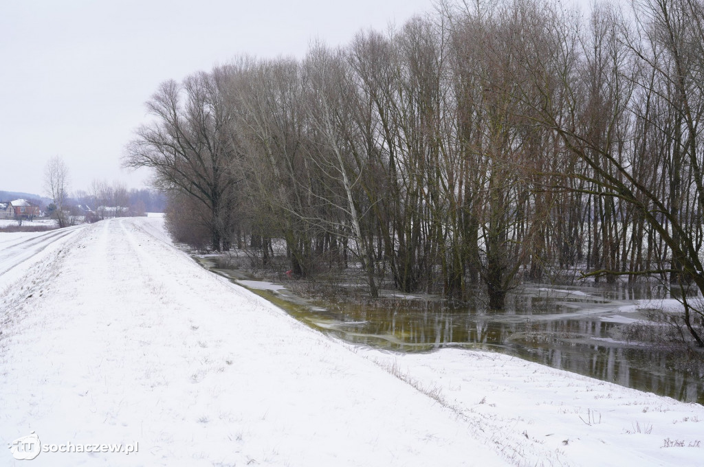 Wyszogród: Wisła 13.02.2021