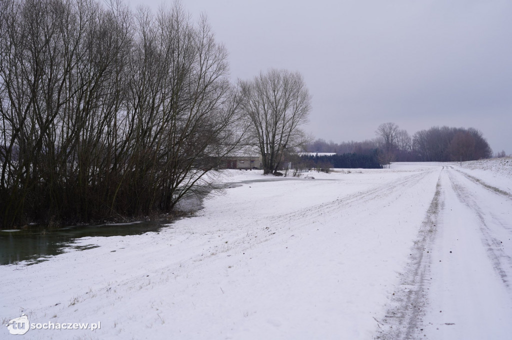 Wyszogród: Wisła 13.02.2021