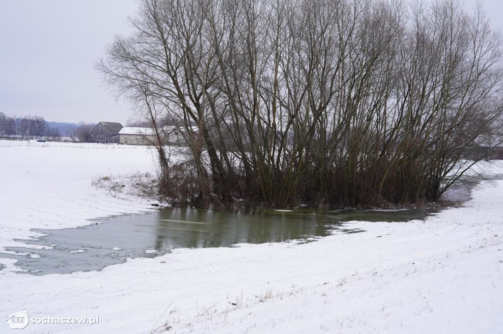Wyszogród: Wisła 13.02.2021