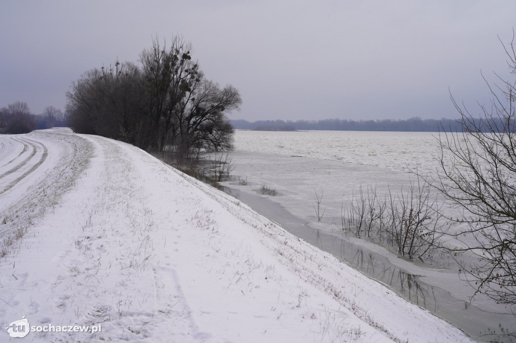 Wyszogród: Wisła 13.02.2021