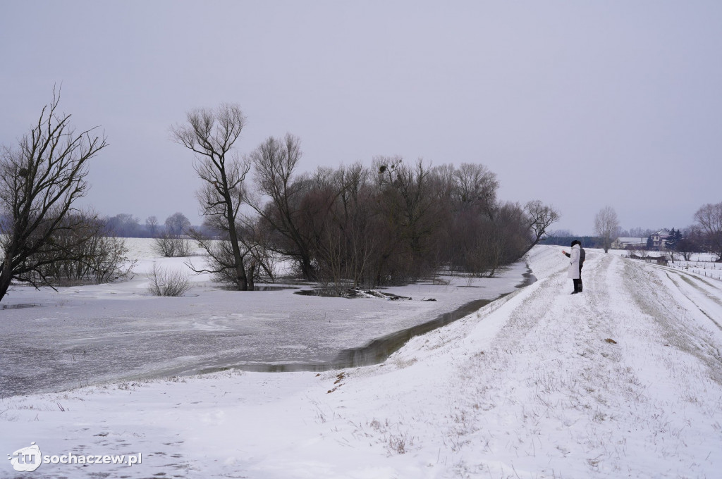 Wyszogród: Wisła 13.02.2021