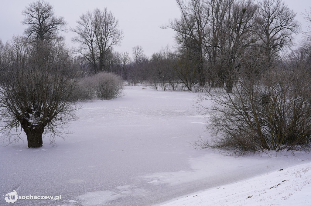 Wyszogród: Wisła 13.02.2021