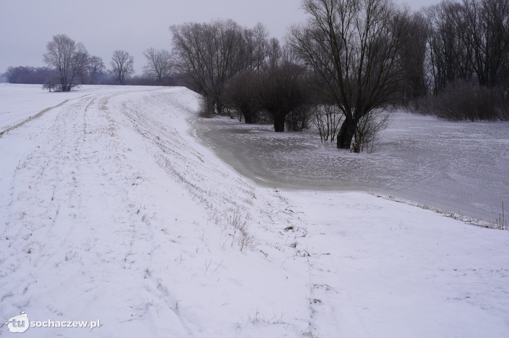 Wyszogród: Wisła 13.02.2021