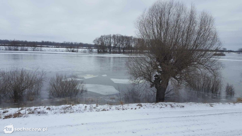 Gmina Młodzieszyn sytuacja na Wiśle 14.02.2021