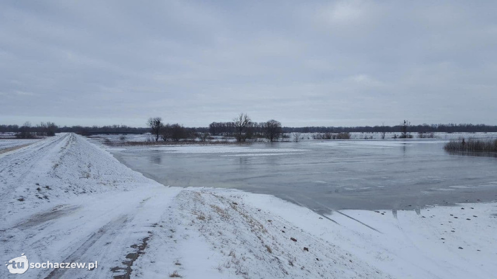 Gmina Młodzieszyn sytuacja na Wiśle 14.02.2021