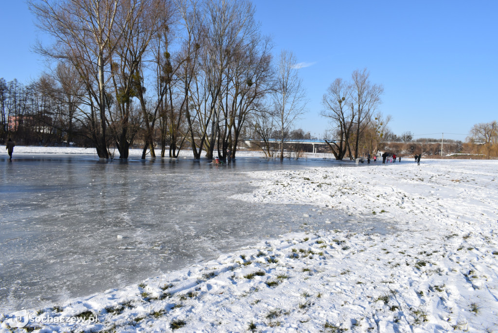 Bulwary nad Bzurą pod lodem