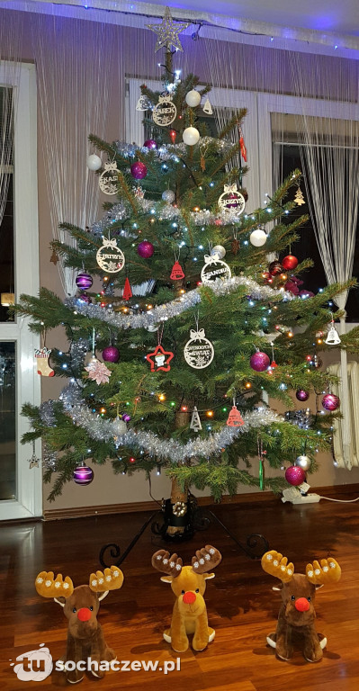 Boże Narodzenie w Twoim obiektywie 2021