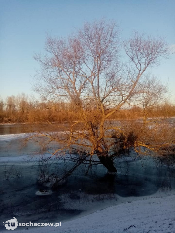 Alert hydrologiczny. Bzura i Wisła przybiera