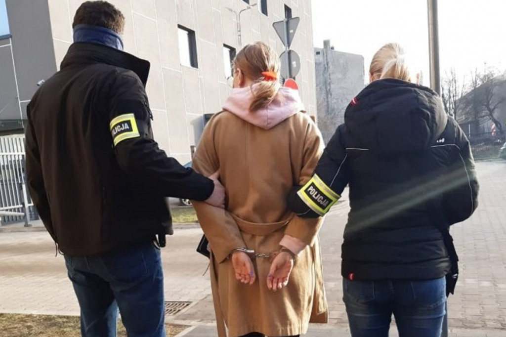 Przestępcy zatrzymani w powiecie sochaczewskim