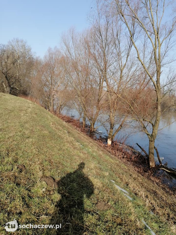 Kontrola wałów i bobrów w powiecie