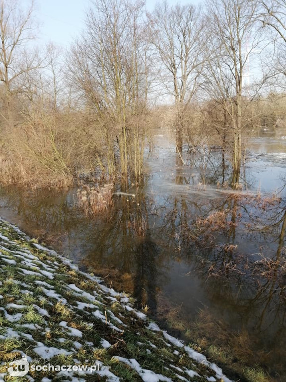 Kontrola wałów i bobrów w powiecie
