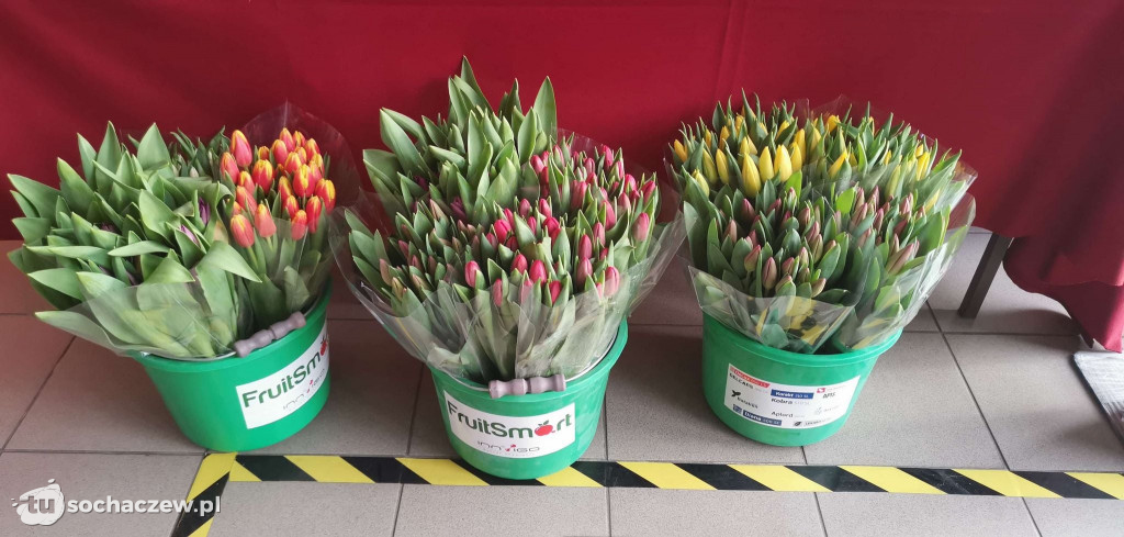 Kup tulipana dla Alana