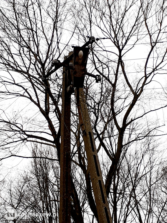 Nowe energooszczędne oświetlenie w zabytkowym parku w Młodzieszynie
