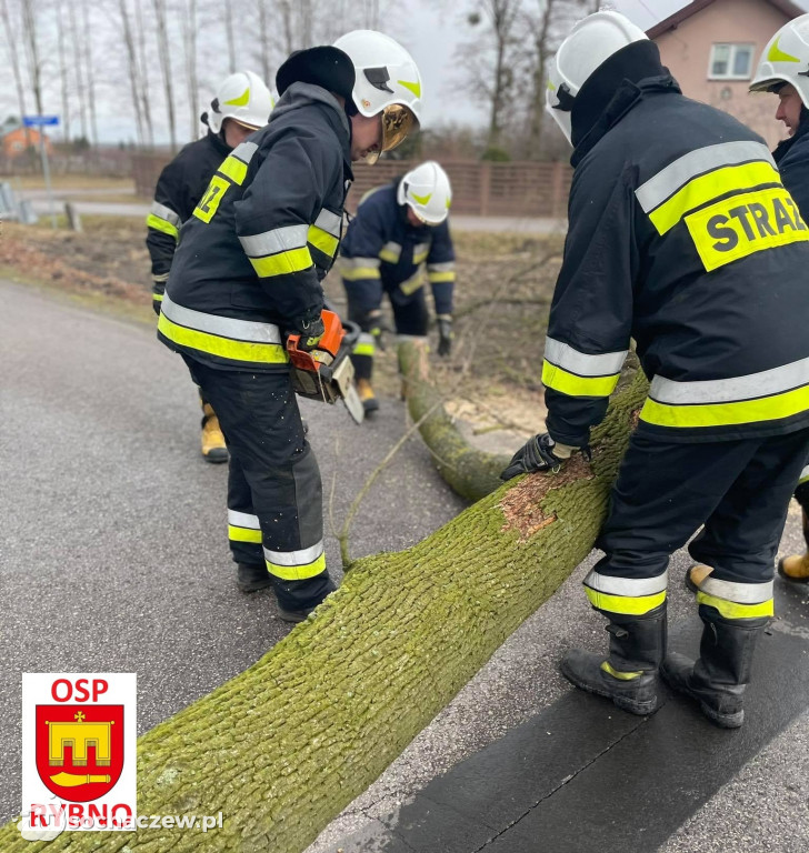 Aleksandrów: drzewo na drodze. Interwencja OSP Rybno