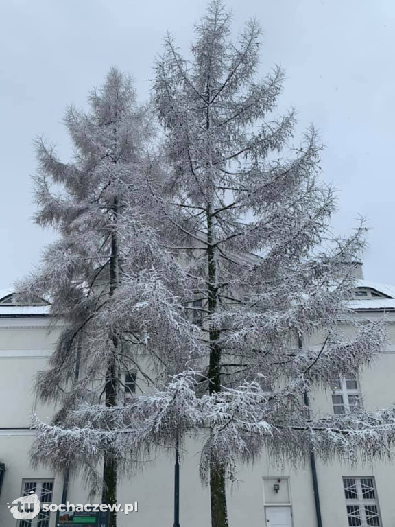 Zima nie odpuszcza. Przysypało sochaczewskie muzeum