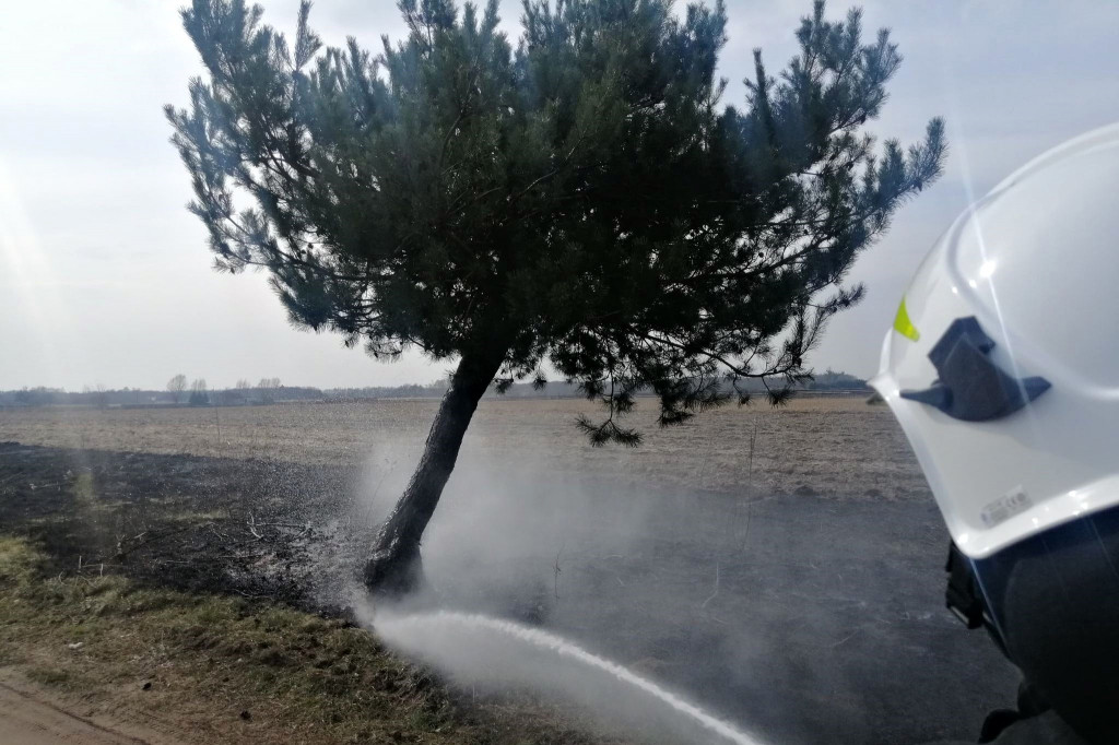 Pożar w Juliopolu 27.03.2021