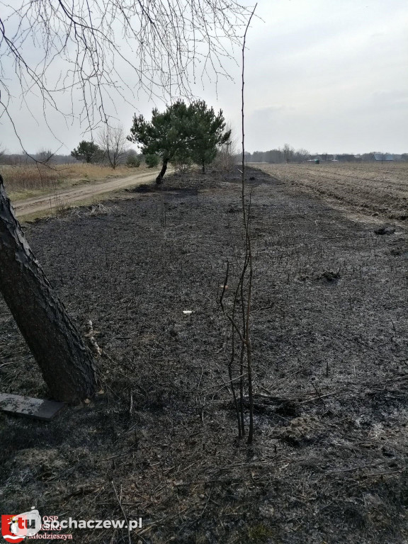 Pożar w Juliopolu 27.03.2021