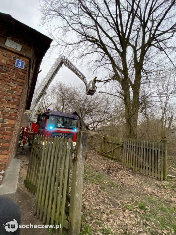 Niecodzienna interwencja w Duranowie