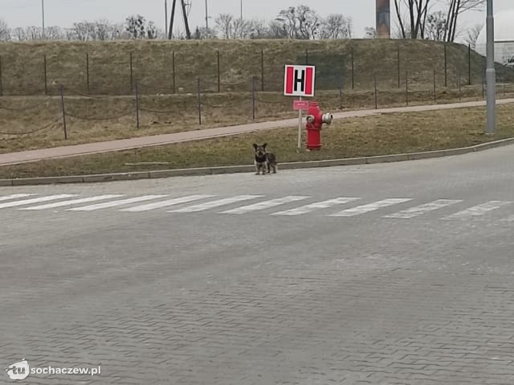 Akcja na terenie Marsa zakończona sukcesem