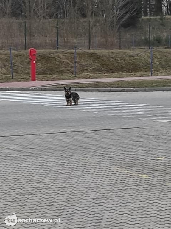 Akcja na terenie Marsa zakończona sukcesem