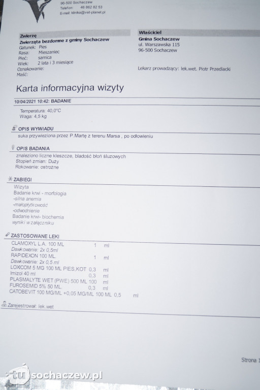 Akcja na terenie Marsa zakończona sukcesem