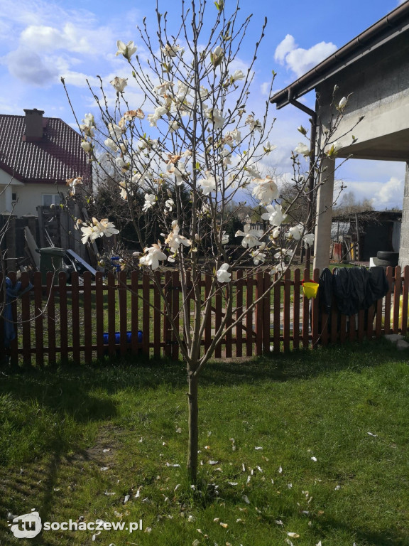 Przymrozki w powiecie sochaczewskim